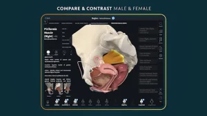 Complete Anatomy 11.2 Crack + License Key Free Download